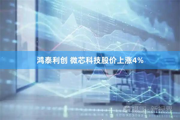 鸿泰利创 微芯科技股价上涨4%