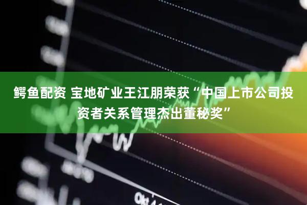 鳄鱼配资 宝地矿业王江朋荣获“中国上市公司投资者关系管理杰出董秘奖”