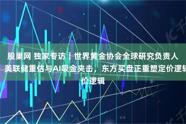 股巢网 独家专访｜世界黄金协会全球研究负责人：美联储重估与AI吸金夹击，东方买盘正重塑定价逻辑